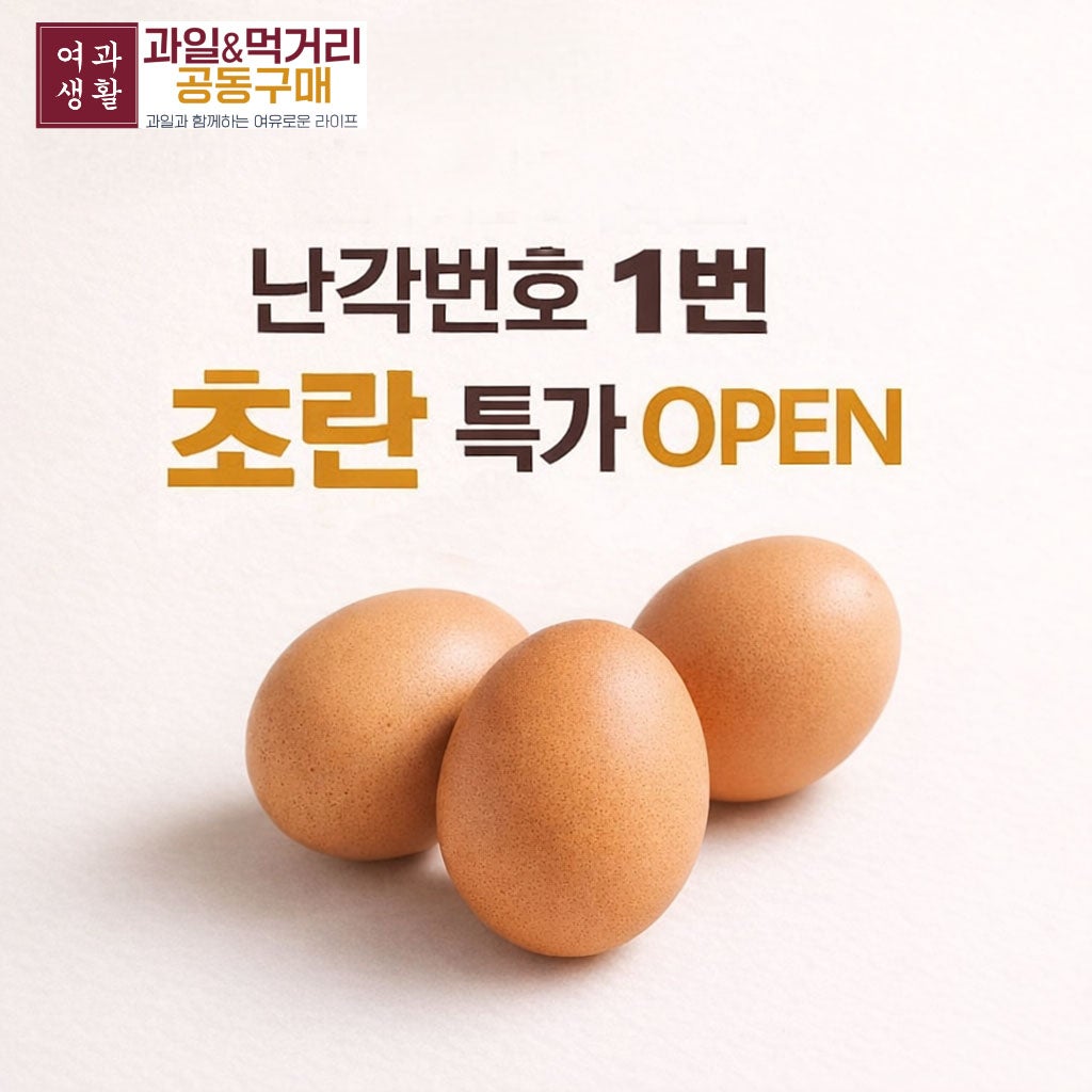 1번 초란