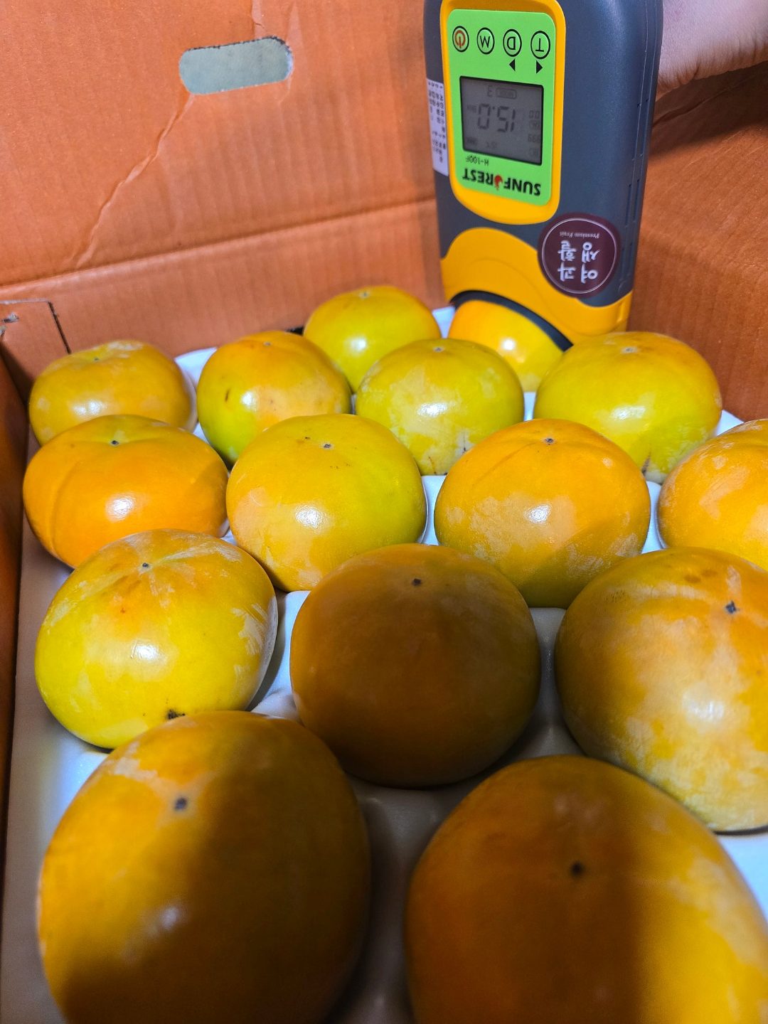 📌22일(목)🍈🧡 제철 아삭달달한 단감 특가진행~!!!🍈🧡